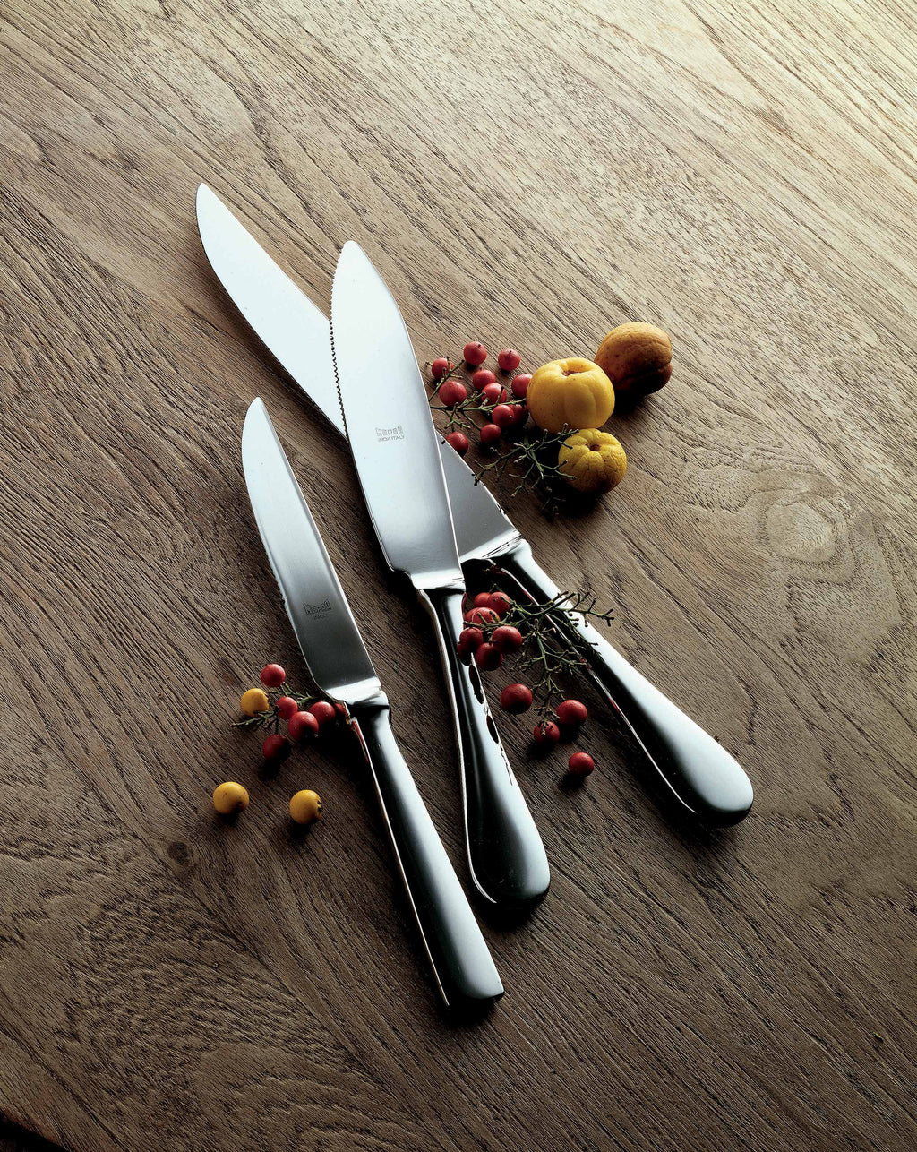 Steak Knife Set 4 Pcs T405