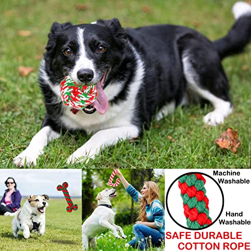 Christmas Dog Rope Toys 6 Pack P8925