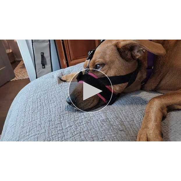 Gentle Muzzle Guard for Dogs Q216