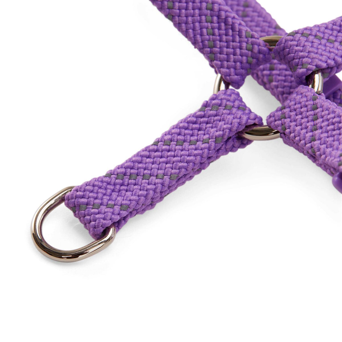 Reflective Purple Cat Harness Kit Set X95214