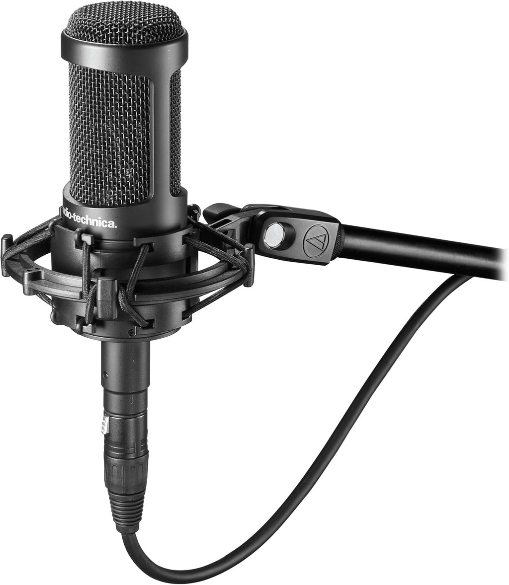 Multi-Pattern Condenser Microphone T8841