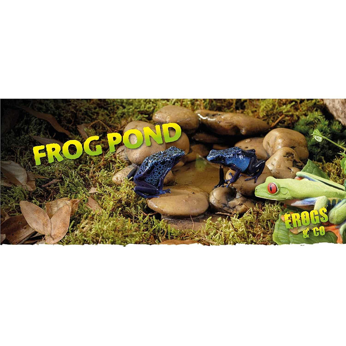 Frog Pond A845