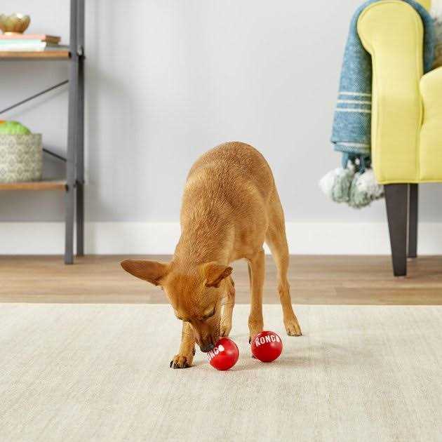 Signature Ball Dog Toy J1982