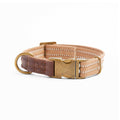 Webbed Dog Collar S763