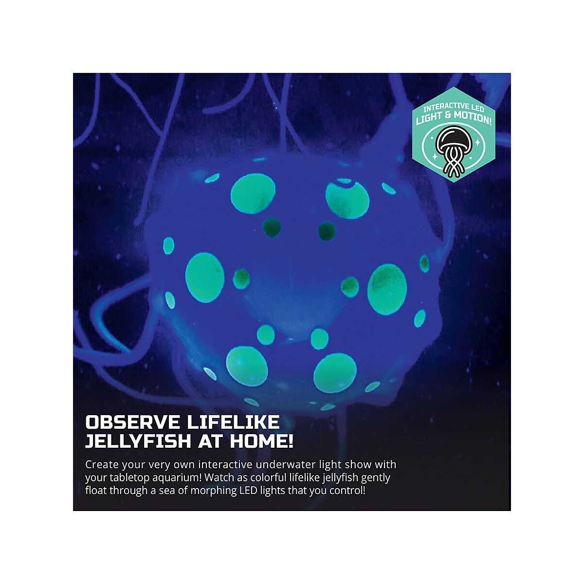 Jellyfish Aquarium Lamp P8079