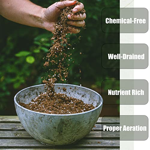 Organic Potting Soil Mix 1 qt X32816