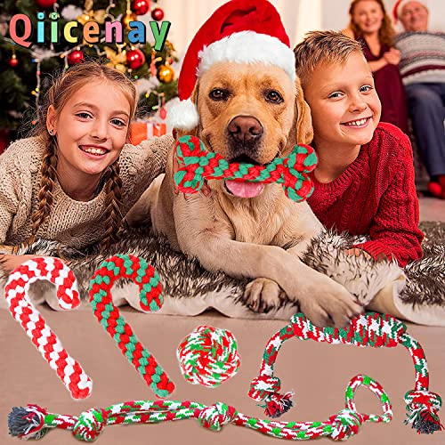 Christmas Dog Rope Toys 6 Pack P8925