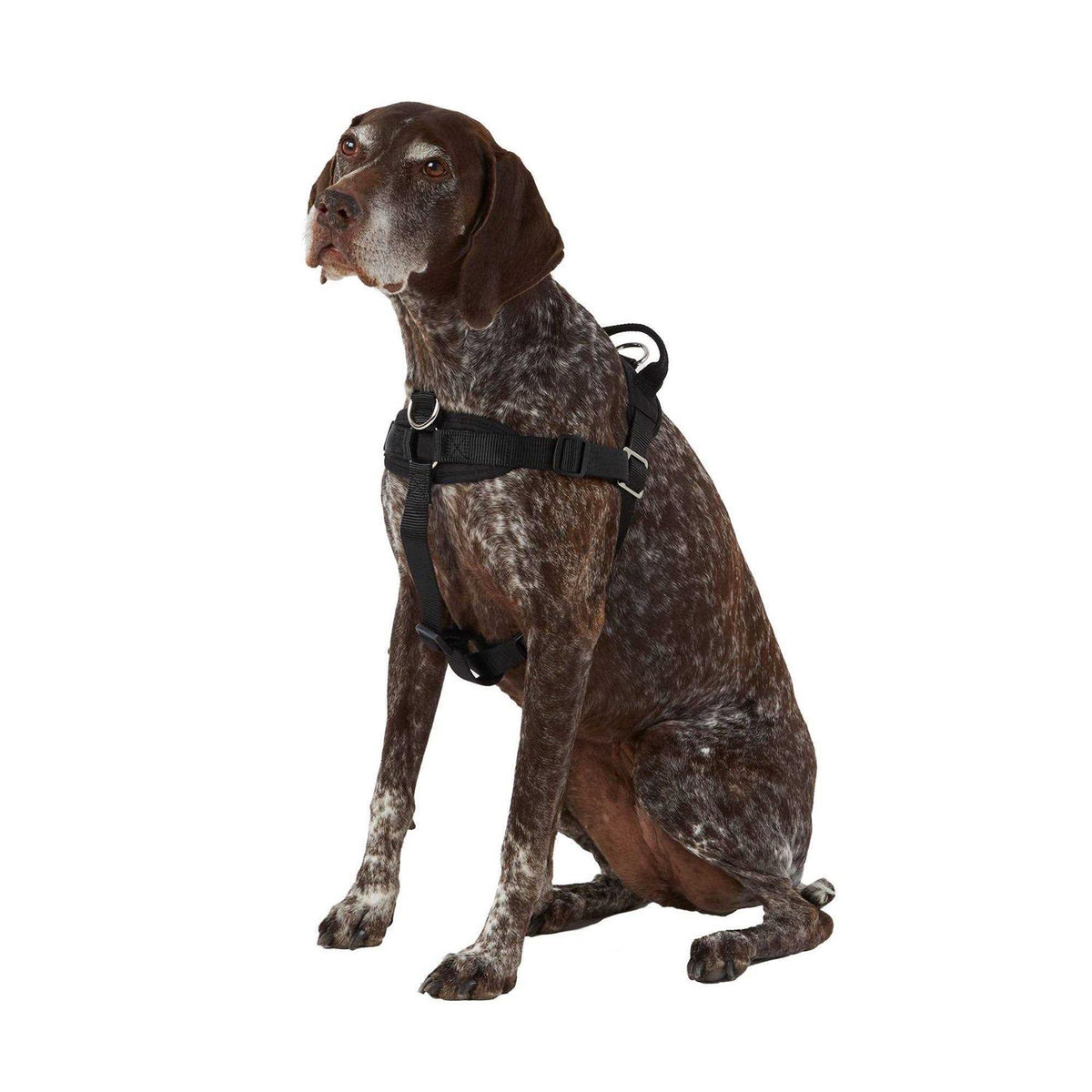 No Pull Dog Harness C1152