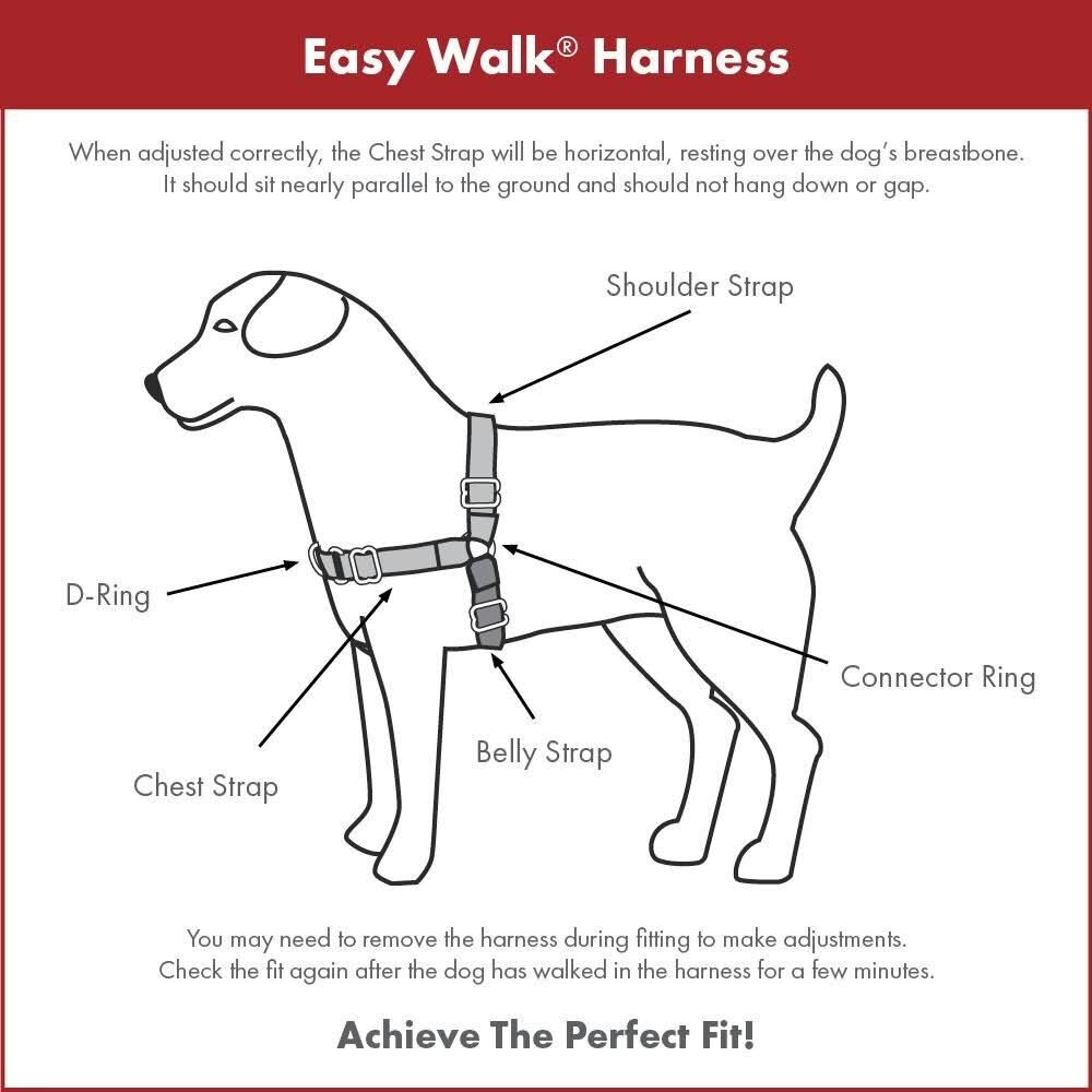 Black Medium Harness Y29364