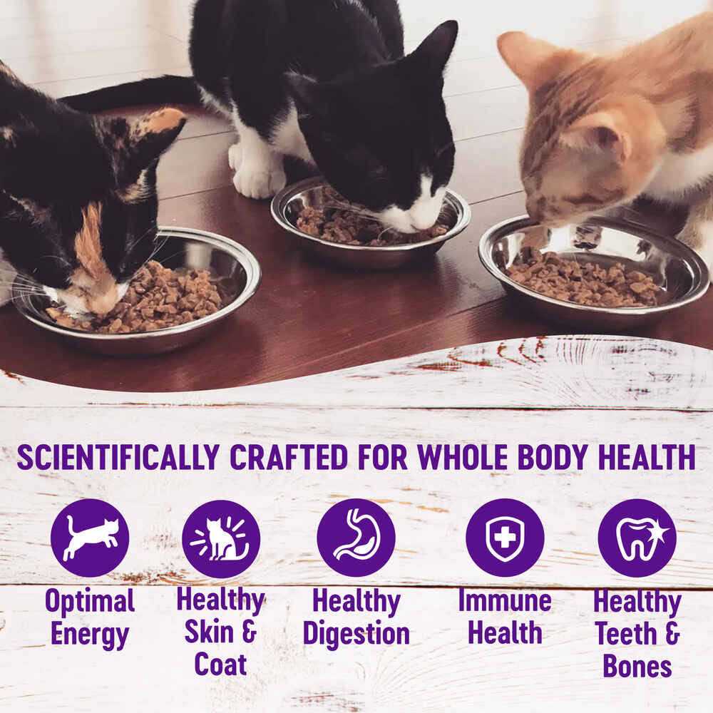 Cat Food E6475