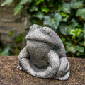Stone Frog F874605