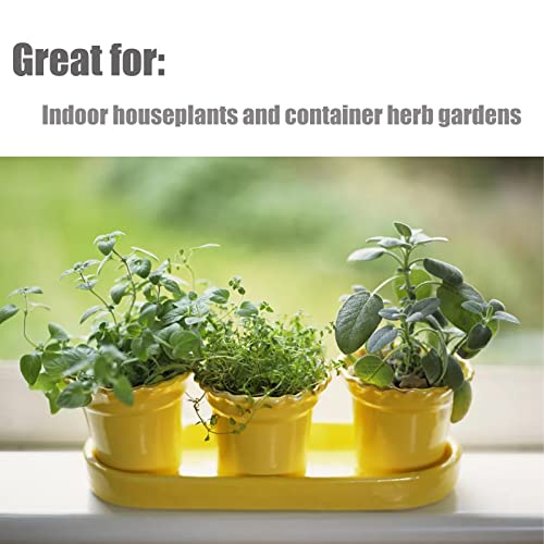 Organic Potting Soil Mix 1 qt X32816
