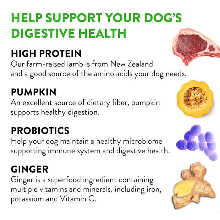 Lamb Jerky Dog Treats O568598