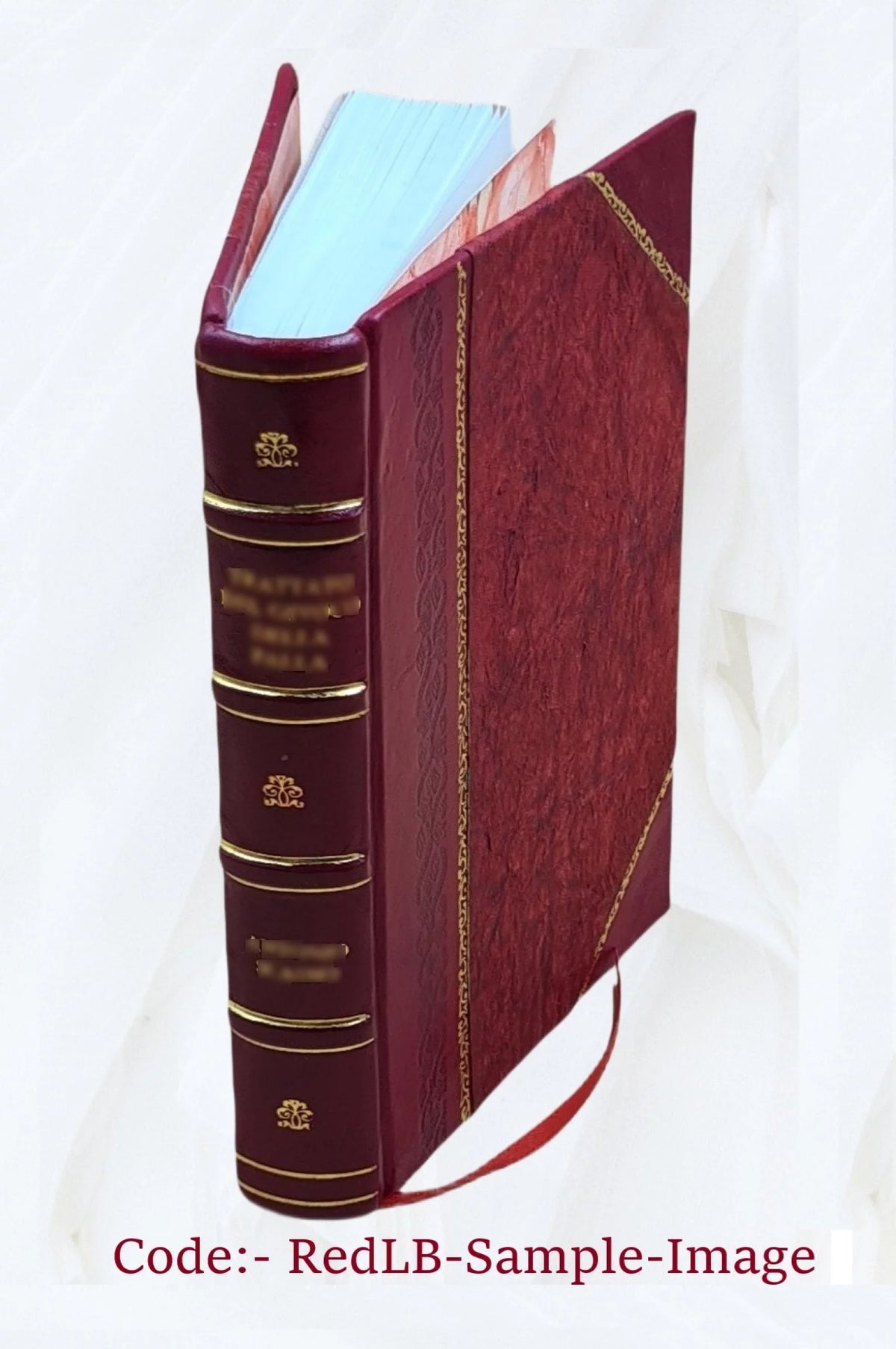 John Paine and Mary Ann May of East Woodstock, Conn. 1914 Leather Bound C654