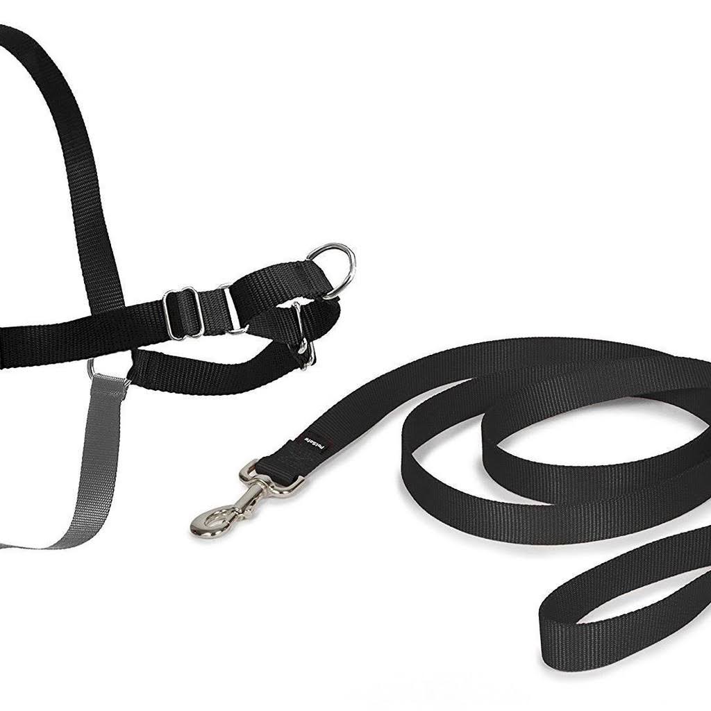 Black Medium Harness Y29364
