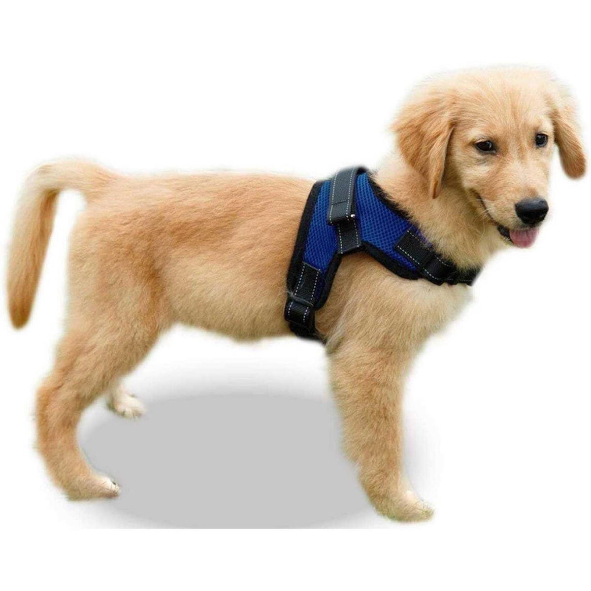 Adjustable Reflective Dog Harness with Handle F698834