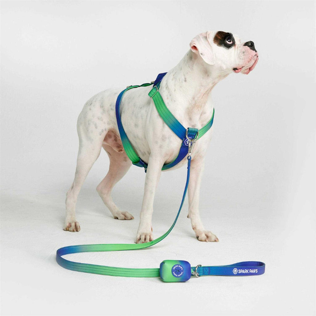 No-Pull Dog Harness E537098