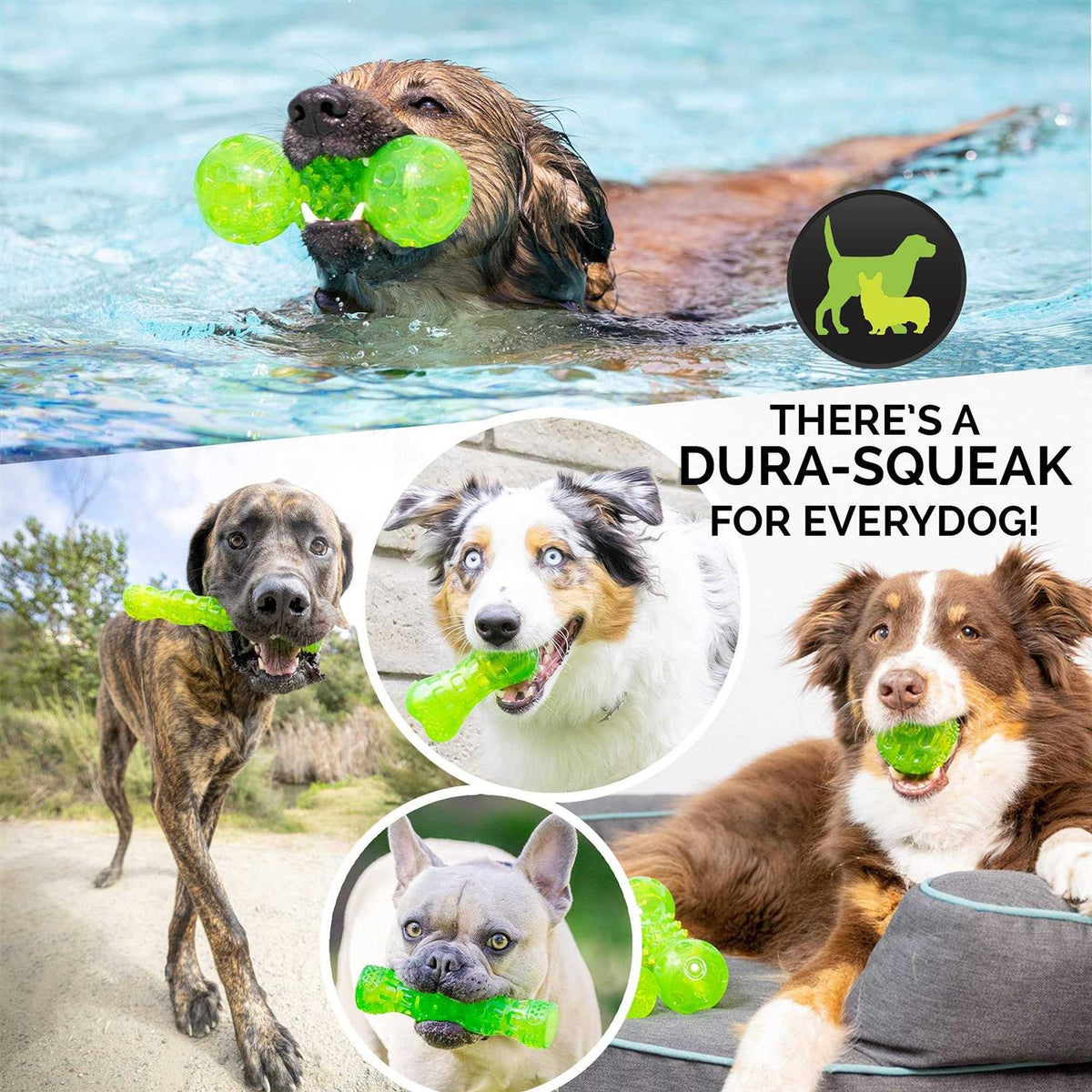 Dog Toy Ball W164