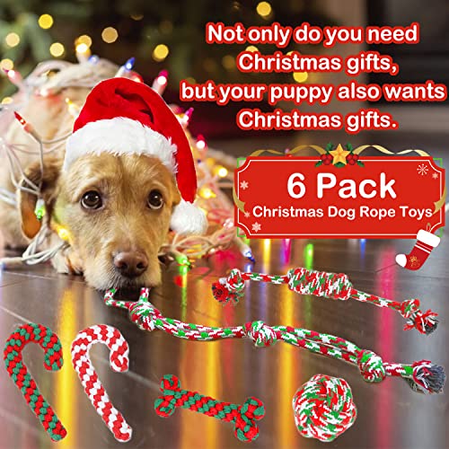 Christmas Dog Rope Toys 6 Pack P8925