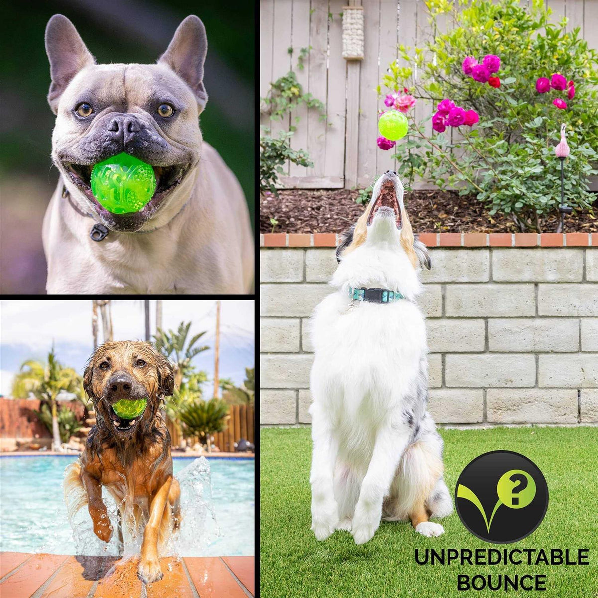Dog Toy Ball W164